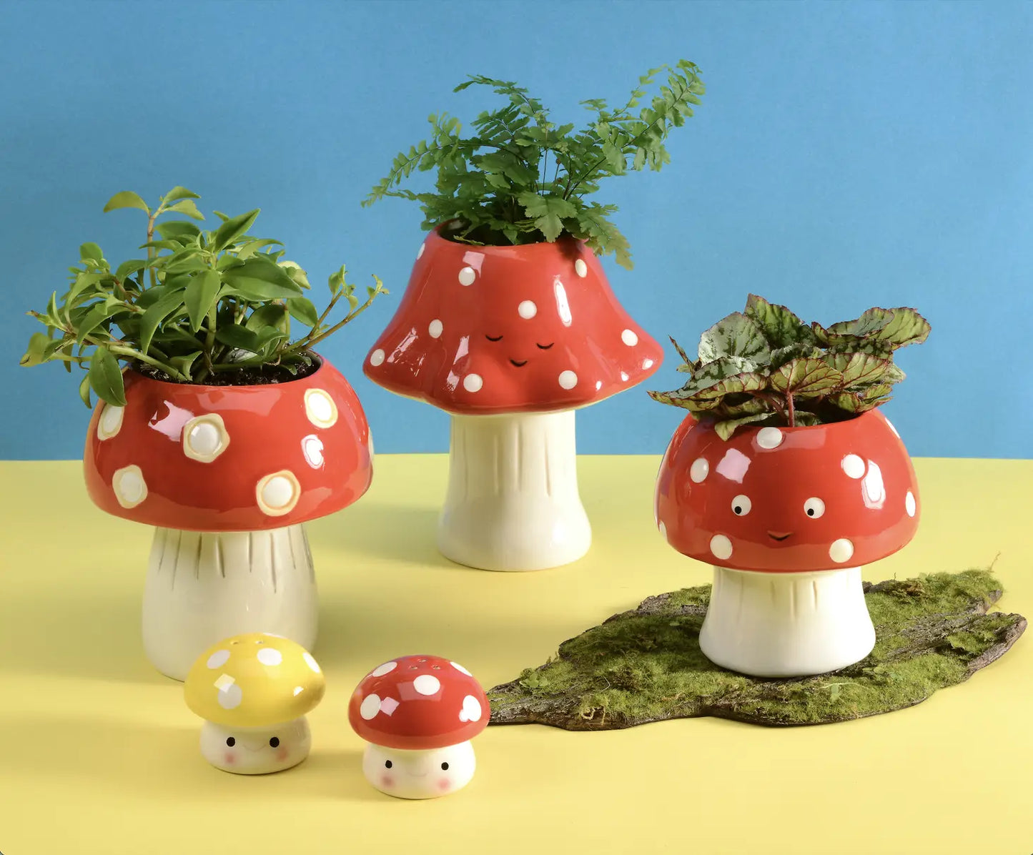 Kawaii Mushroom Planter - Tall