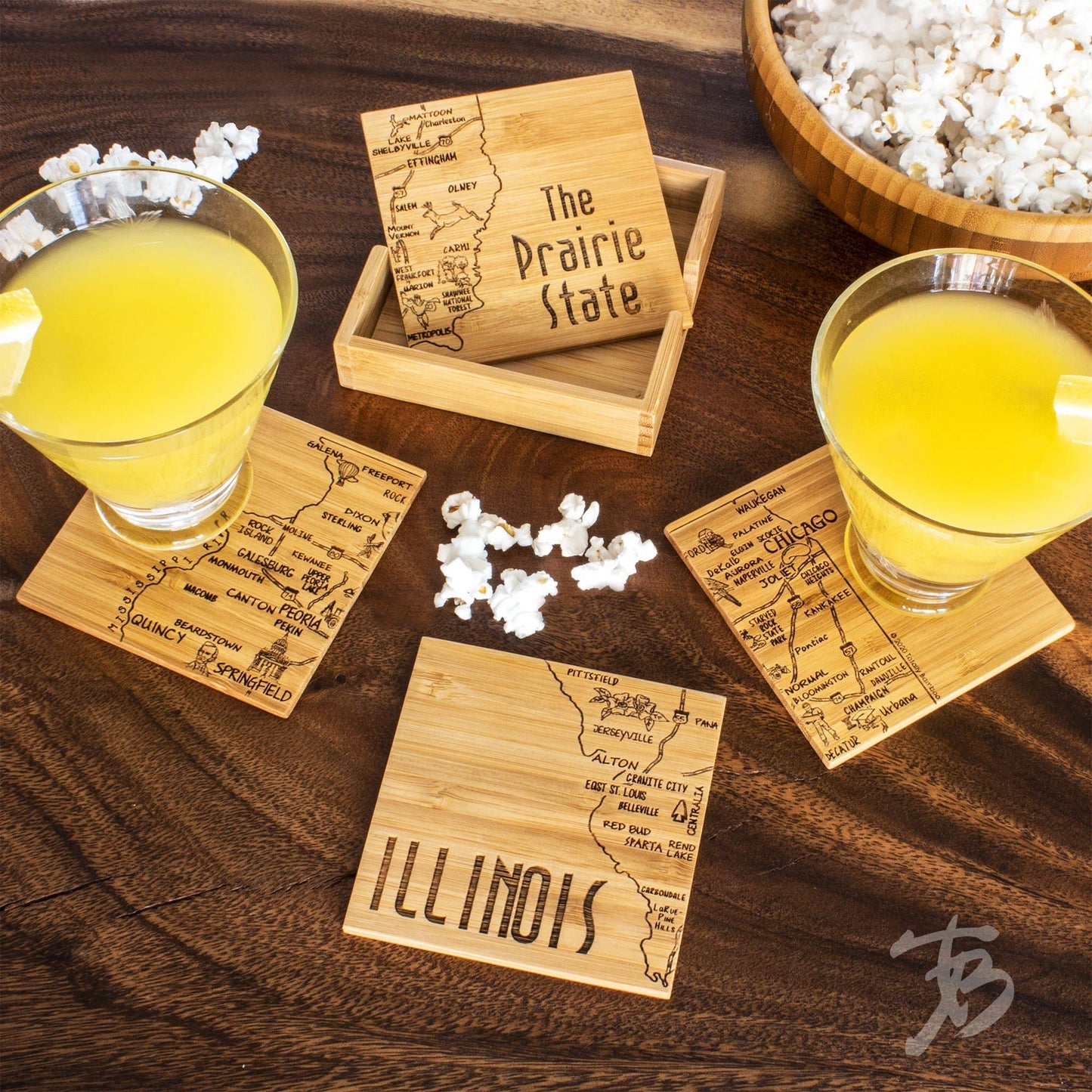 Illinois Puzzle 4-Pc. Coaster Set with Case