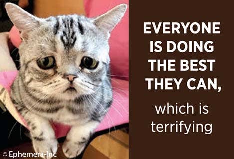 Everyone is doing the best they can. which is terrifying. Magnet 🧲