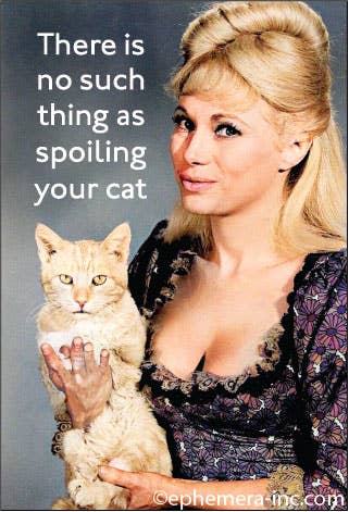 There is no such thing as spoiling your cat Magnet 🧲