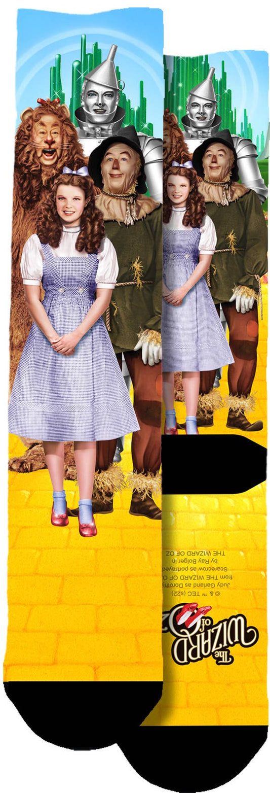 Wizard of Oz Socks